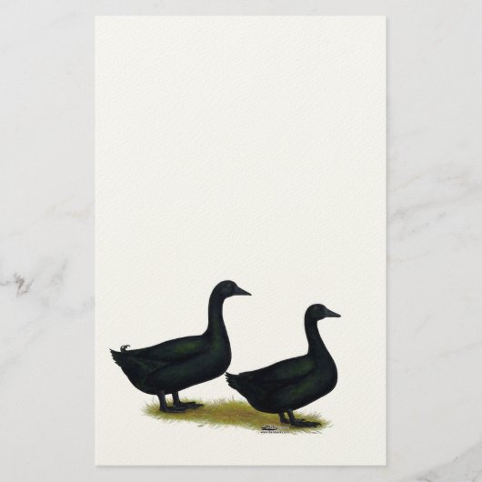 Enten: Schwarze Cayugas Briefpapier (Vorderseite)