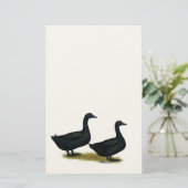 Enten: Schwarze Cayugas Briefpapier (Stehend Vorderseite)