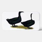 Enten: Schwarze Cayugas Case-Mate iPhone Hülle (Rückseite (Horizontal))