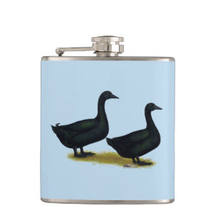 Enten: Schwarze Cayugas Flachmann