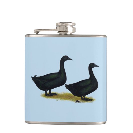 Enten: Schwarze Cayugas Flachmann (Vorderseite)