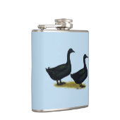 Enten: Schwarze Cayugas Flachmann (Rechts)