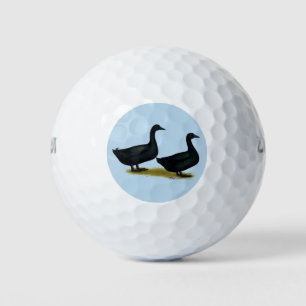 Enten: Schwarze Cayugas Golfball