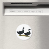 Enten: Schwarze Cayugas Magnet (In Situ (Geschirrspüler))
