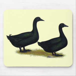 Enten: Schwarze Cayugas Mousepad