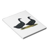 Enten: Schwarze Cayugas Notizblock (angewinkelt)