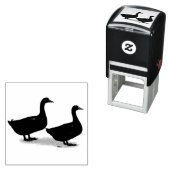 Enten: Schwarze Cayugas Permastempel (Beispiel)