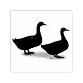 Enten: Schwarze Cayugas Permastempel (Design)