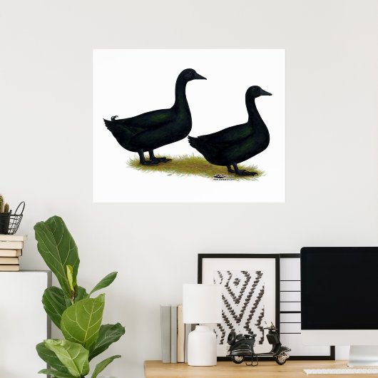 Enten: Schwarze Cayugas Poster (Heimbüro)