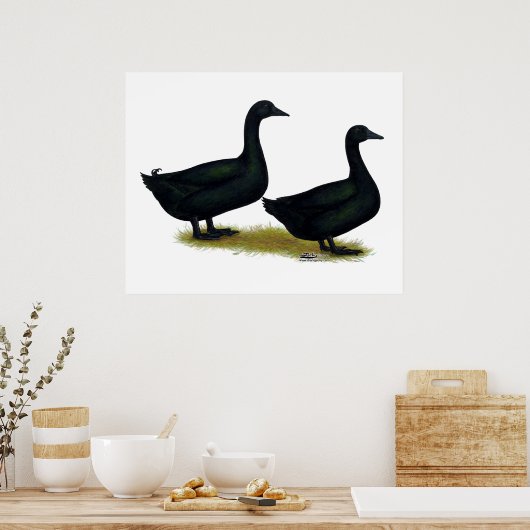 Enten: Schwarze Cayugas Poster (Küche)