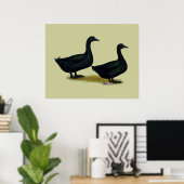 Enten: Schwarze Cayugas Poster (Heimbüro)
