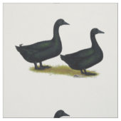 Enten: Schwarze Cayugas Stoff (Muster)