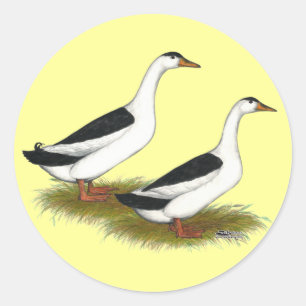 Enten:  Schwarze Elster Runder Aufkleber