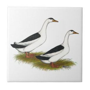 Enten: Schwarze Magpies Fliese