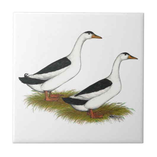 Enten: Schwarze Magpies Fliese (Vorderseite)