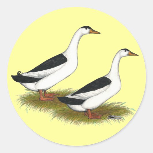 Enten: Schwarze Magpies Runder Aufkleber (Vorderseite)