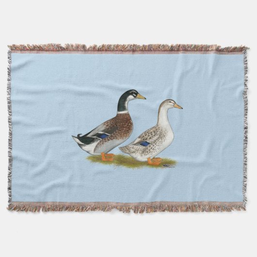 Enten: Silbergarten Decke (Vorderseite)