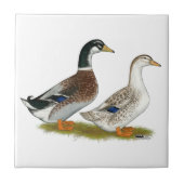 Enten: Silbergarten Fliese (Vorderseite)