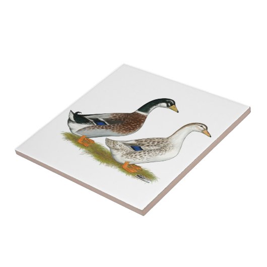 Enten: Silbergarten Fliese (Seite)