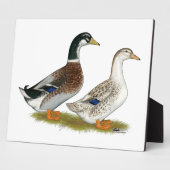 Enten: Silbergarten Fotoplatte (Seite)