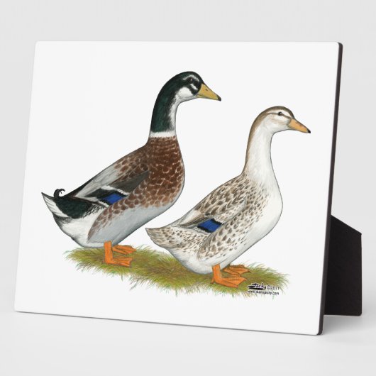 Enten: Silbergarten Fotoplatte (Seite)