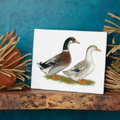 Enten: Silbergarten Fotoplatte (Seite)