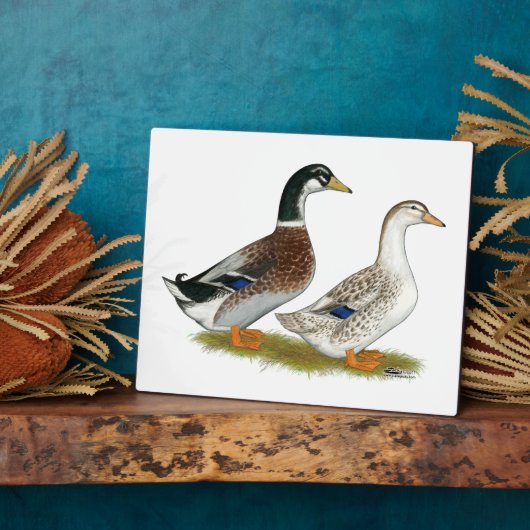 Enten: Silbergarten Fotoplatte (Seite)