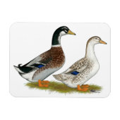 Enten: Silbergarten Magnet (Horizontal)