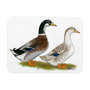 Enten: Silbergarten Magnet