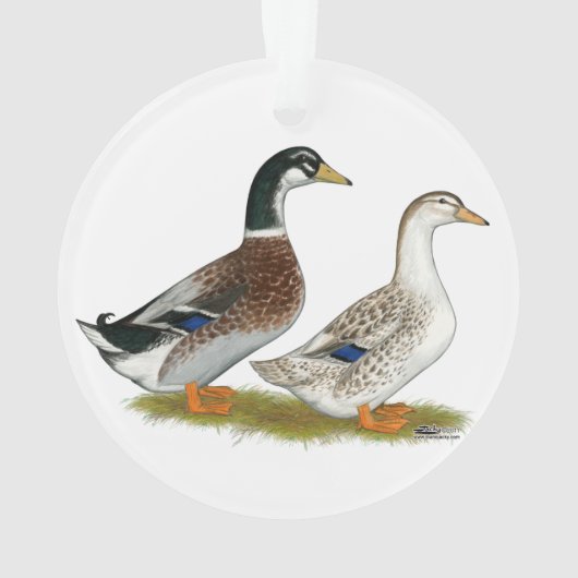 Enten: Silbergarten Ornament (Rückseite)