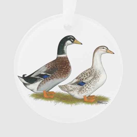 Enten: Silbergarten Ornament (Vorderseite)