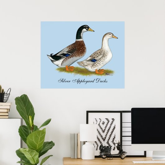 Enten: Silbergarten Poster (Heimbüro)