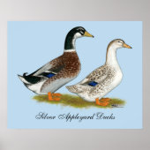 Enten: Silbergarten Poster (Vorne)