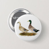 Enten:  Silberner Waliser-Harlekin Button (Vorne & Hinten)