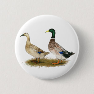 Enten:  Silberner Waliser-Harlekin Button