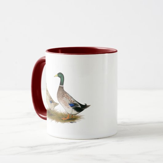 Enten:  Silberner Waliser-Harlekin Tasse (Vorderseite Links)