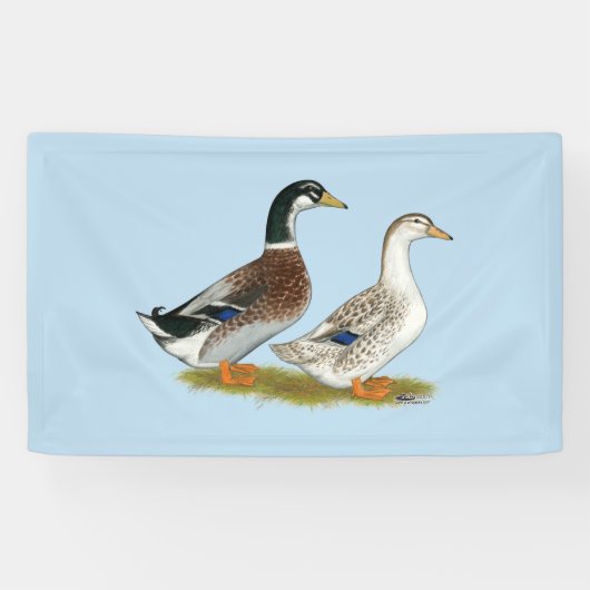 Enten:  Silbernes Appleyard Banner (Horizontal)