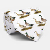 Enten: Silberwalisische Harlequin, Enten: Silber . Krawatte (Gerollt)