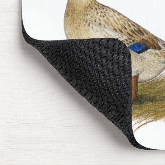 Enten: Silberwalisisches Harlequin Mousepad (Ecke)