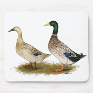 Enten: Silberwalisisches Harlequin Mousepad