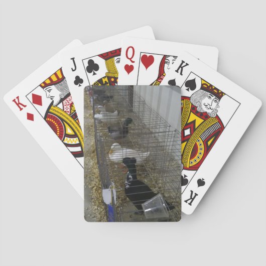 Enten Spielkarten (Rückseite)