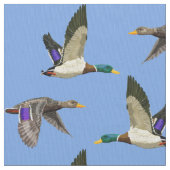 Enten Stoff (Nahaufnahme)