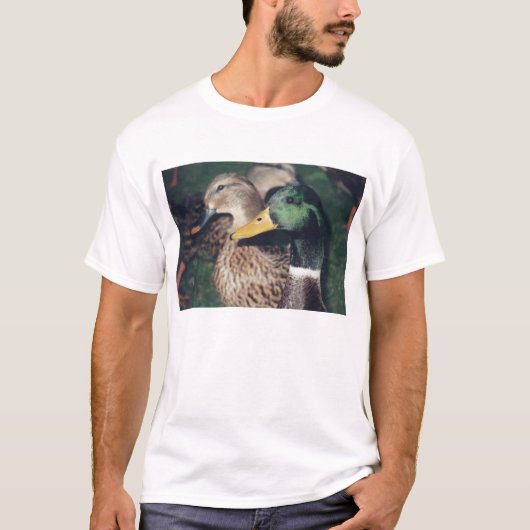 Enten T-Shirt (Vorderseite)