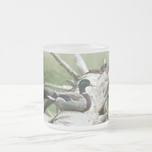 Enten-Tasse Mattglastasse (Mittel)