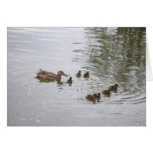 Enten- und Entenkarte