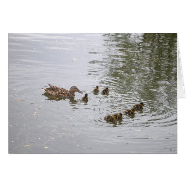 Enten- und Entenkarte (Vorderseite (Horizontal))