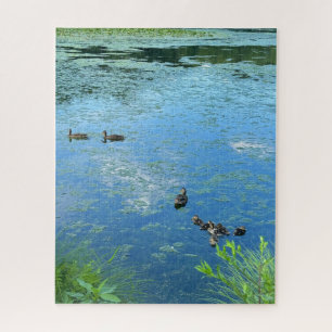 Enten und Entenlings im Wasser - eine Herausforder Puzzle