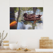Enten- und Fischteich Poster (Küche)