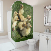 Enten und Goslings Duschvorhang (Beispiel)