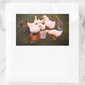 Enten und Hühner essen lustig Rechteckiger Aufkleber (Tasche)